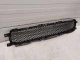 Lower Grille
